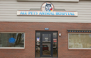 About | All Pets Animal Hospital